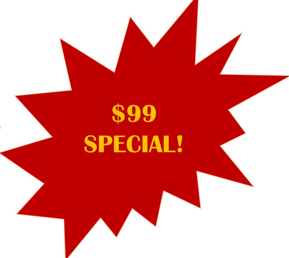 $99 Special Package